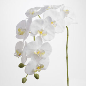 Ramo Decorativo "Orchidea Phalae Eden", Bianca