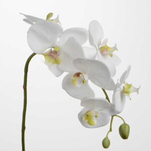 Ramo Decorativo "Orchidea Phalae Yukimai", Viola